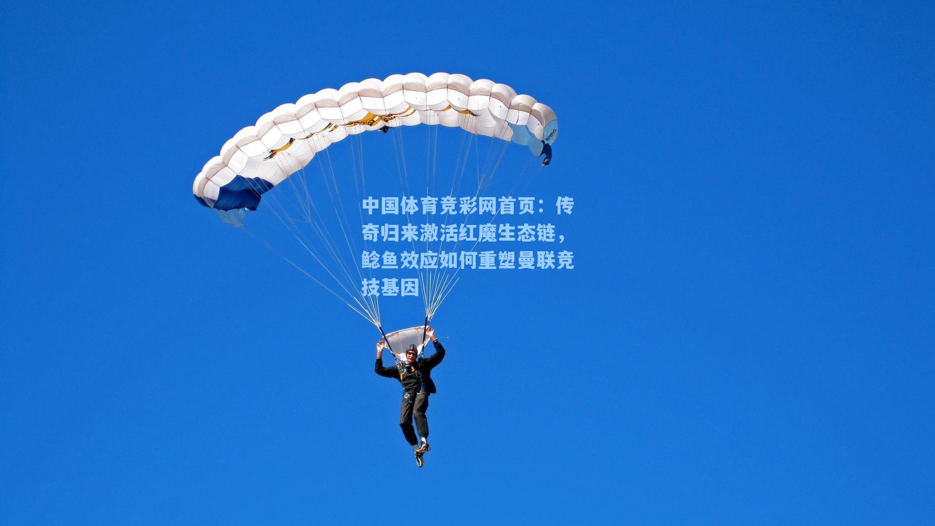 传奇归来激活红魔生态链，鲶鱼效应如何重塑曼联竞技基因