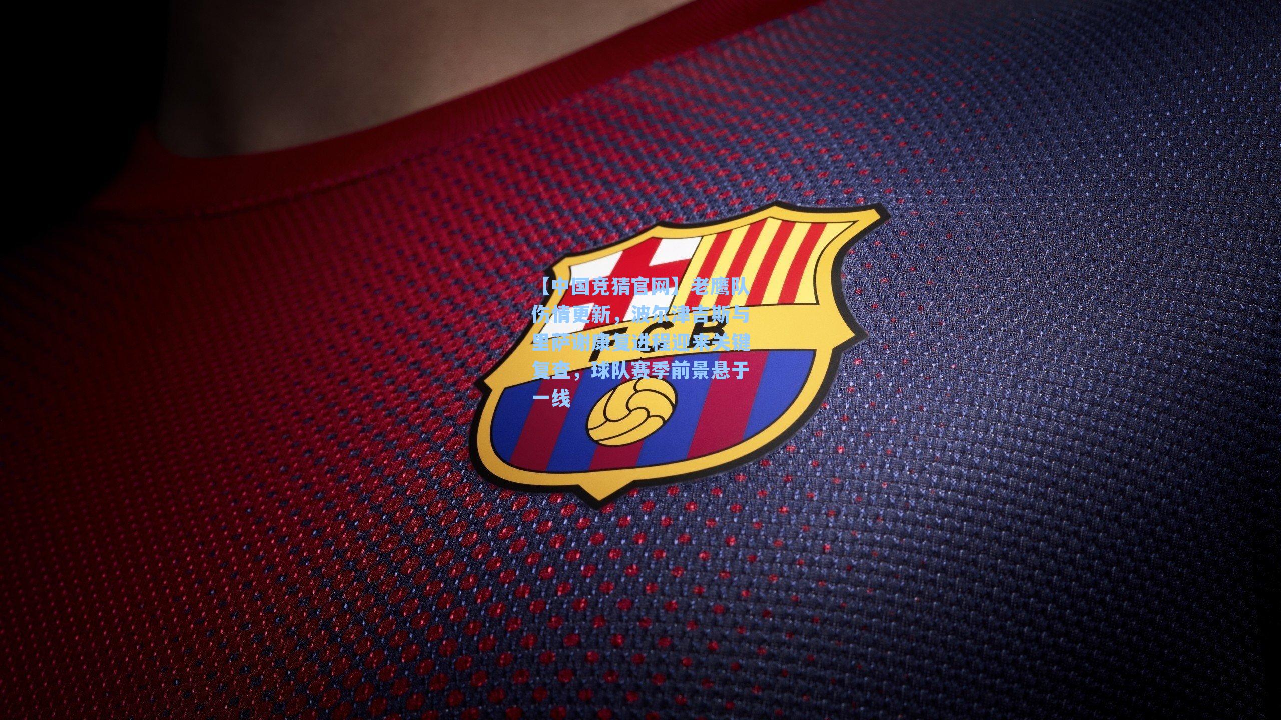 【中国竞猜官网】老鹰队伤情更新，波尔津吉斯与里萨谢康复进程迎来关键复查，球队赛季前景悬于一线